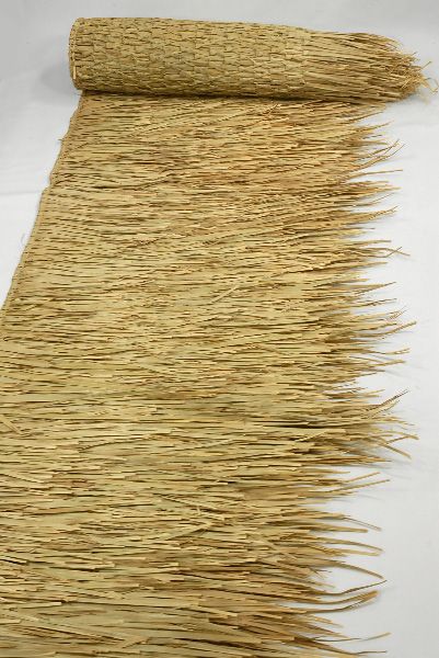 dried stem