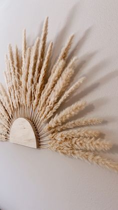 wall dried deco