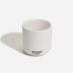 PANTONE 11-4201 Cloud Dancer Cortado 2