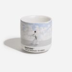 PANTONE 11-4201 Cloud Dancer Limited Edition Latte 2