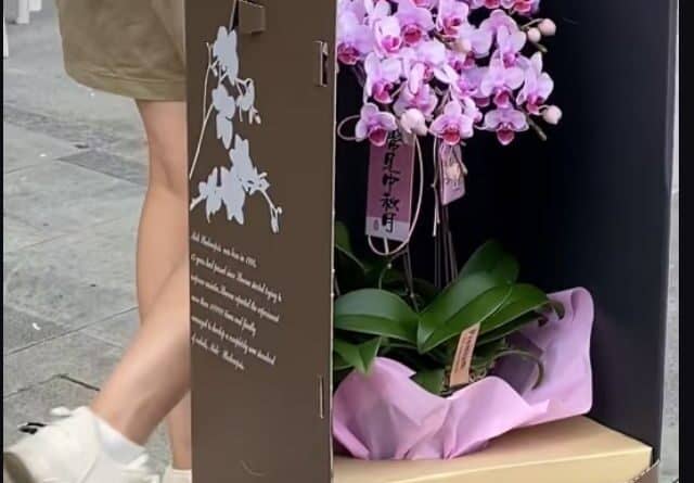 layering flower pack 3